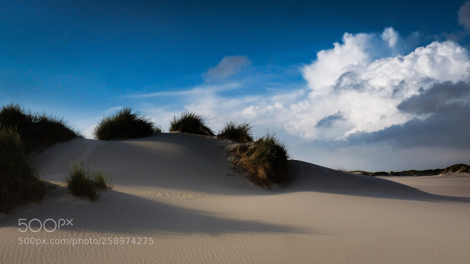 Panasonic Lumix DMC-FZ28 sample photo. Amrum photography