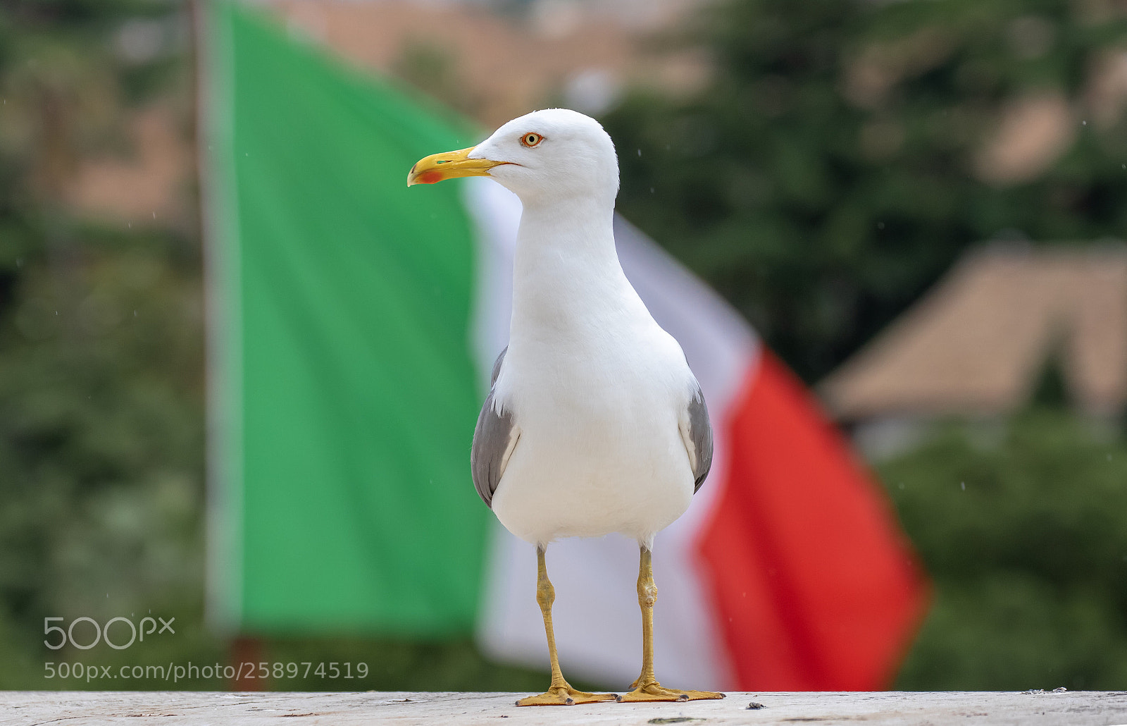 Canon EOS 7D Mark II sample photo. Italy photography