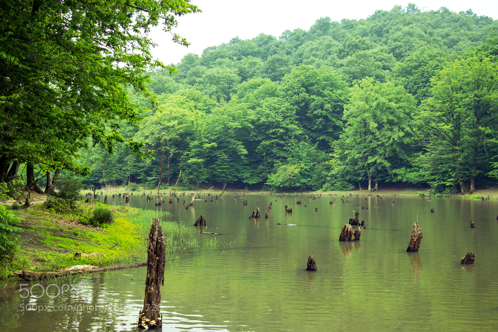 Canon EOS 80D sample photo. Lake abandoned photography
