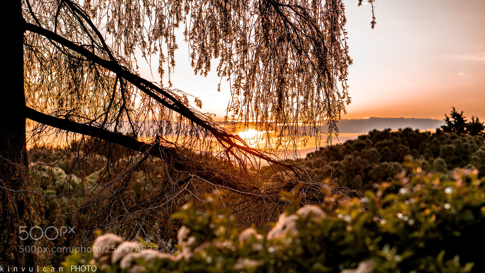 Sony a6300 sample photo. Parque del oeste madrid photography