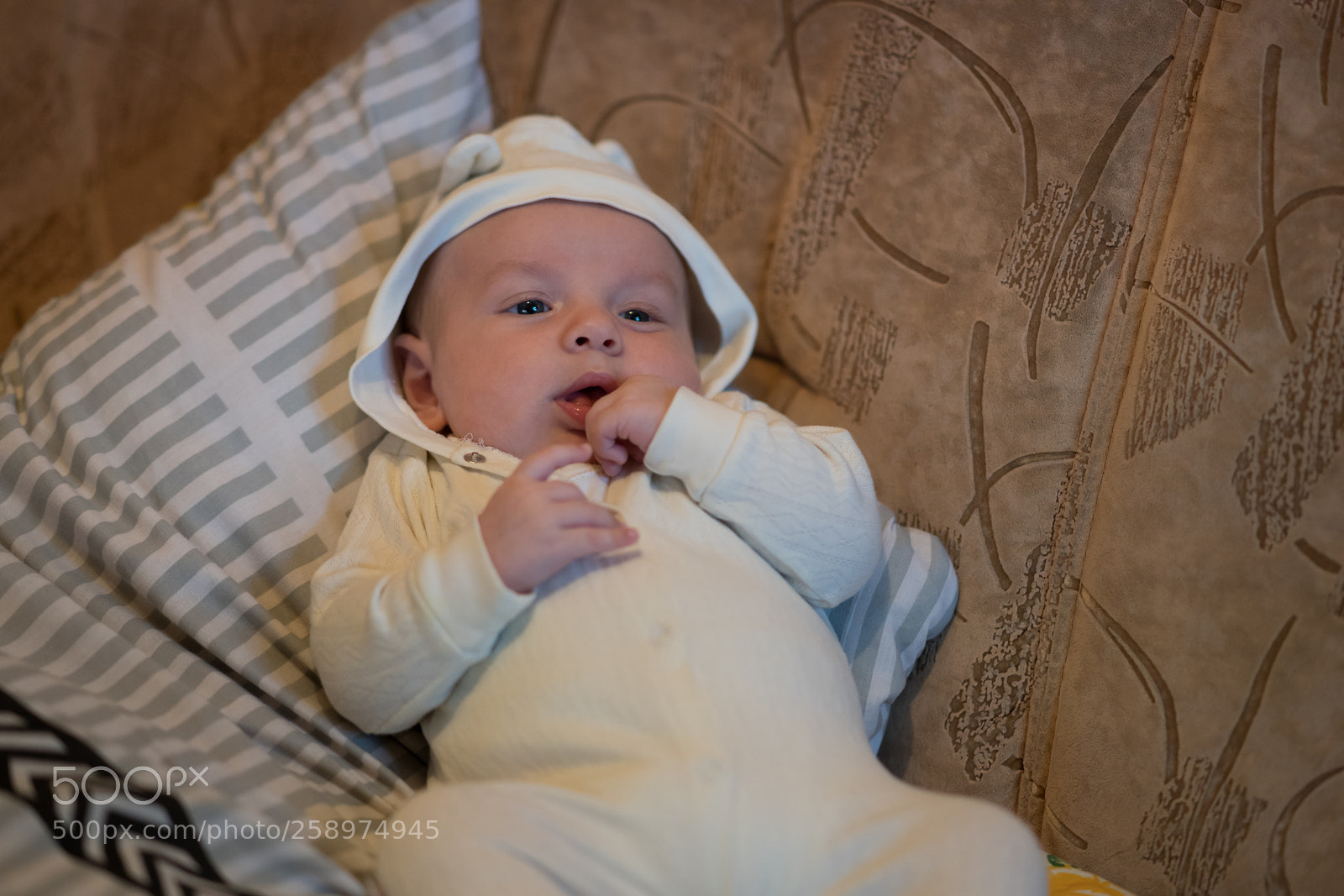Sony a99 II sample photo. Dsc photography