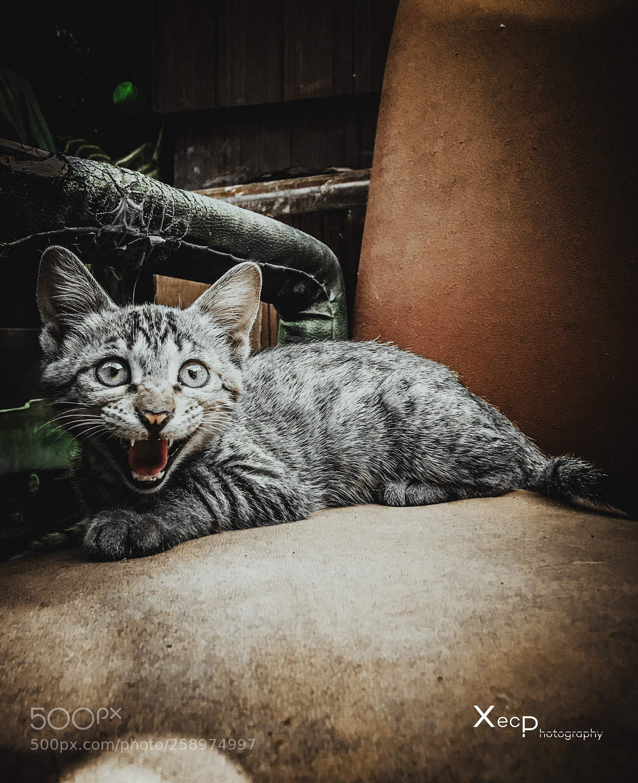 Apple iPhone 7 sample photo. Angry me photography