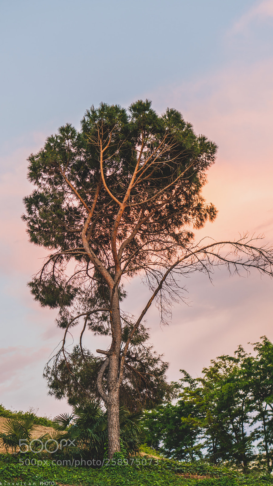 Sony a6300 sample photo. Parque del oeste madrid photography