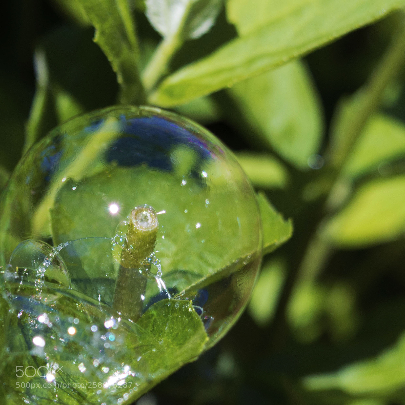 Nikon D3200 sample photo. Bubble dome photography