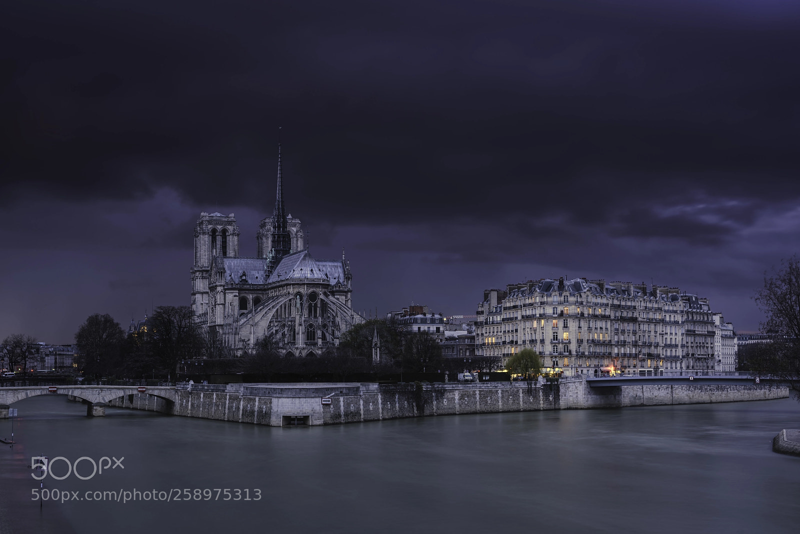 Nikon D810 sample photo. Incredible light over notre photography