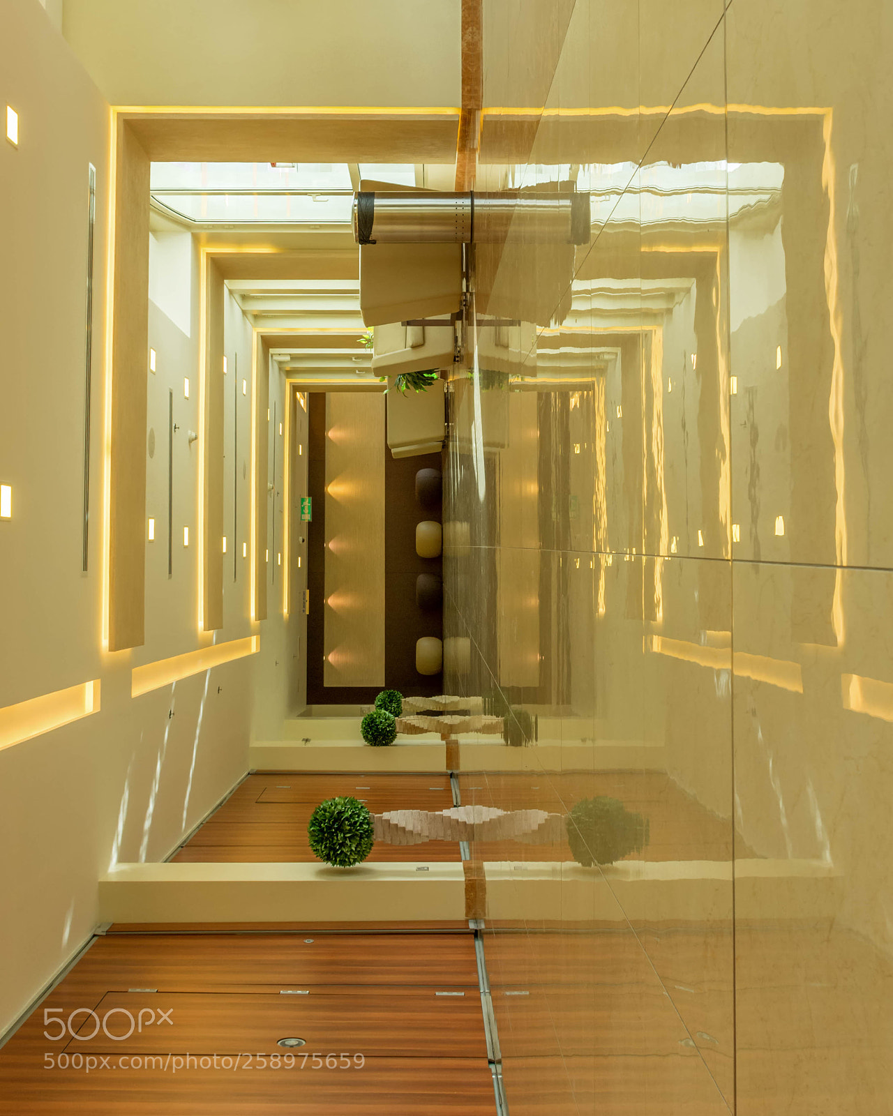 Nikon D7200 sample photo. Reflection. photography