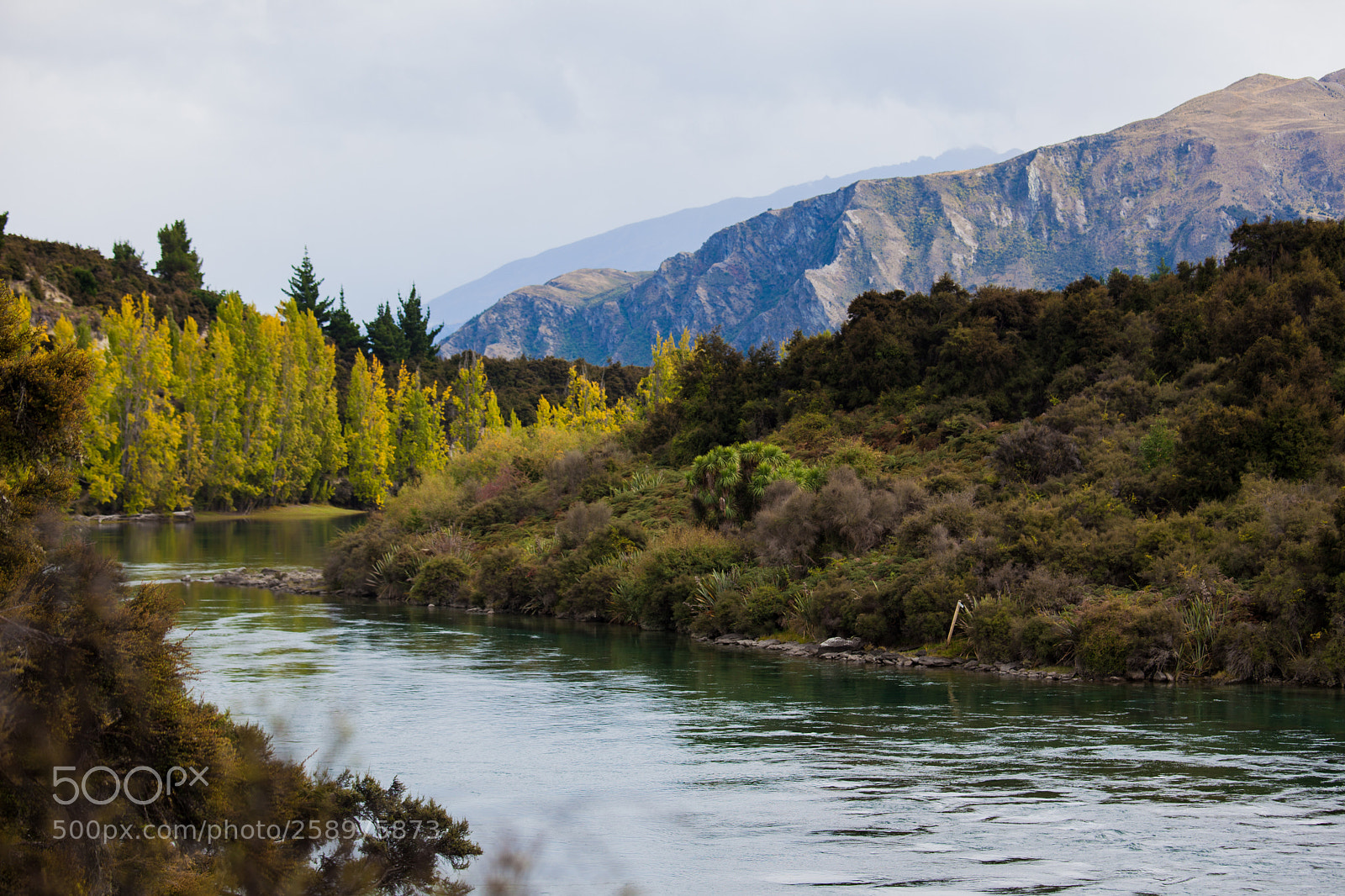 Canon EOS 5D Mark II sample photo. Clutha river photography