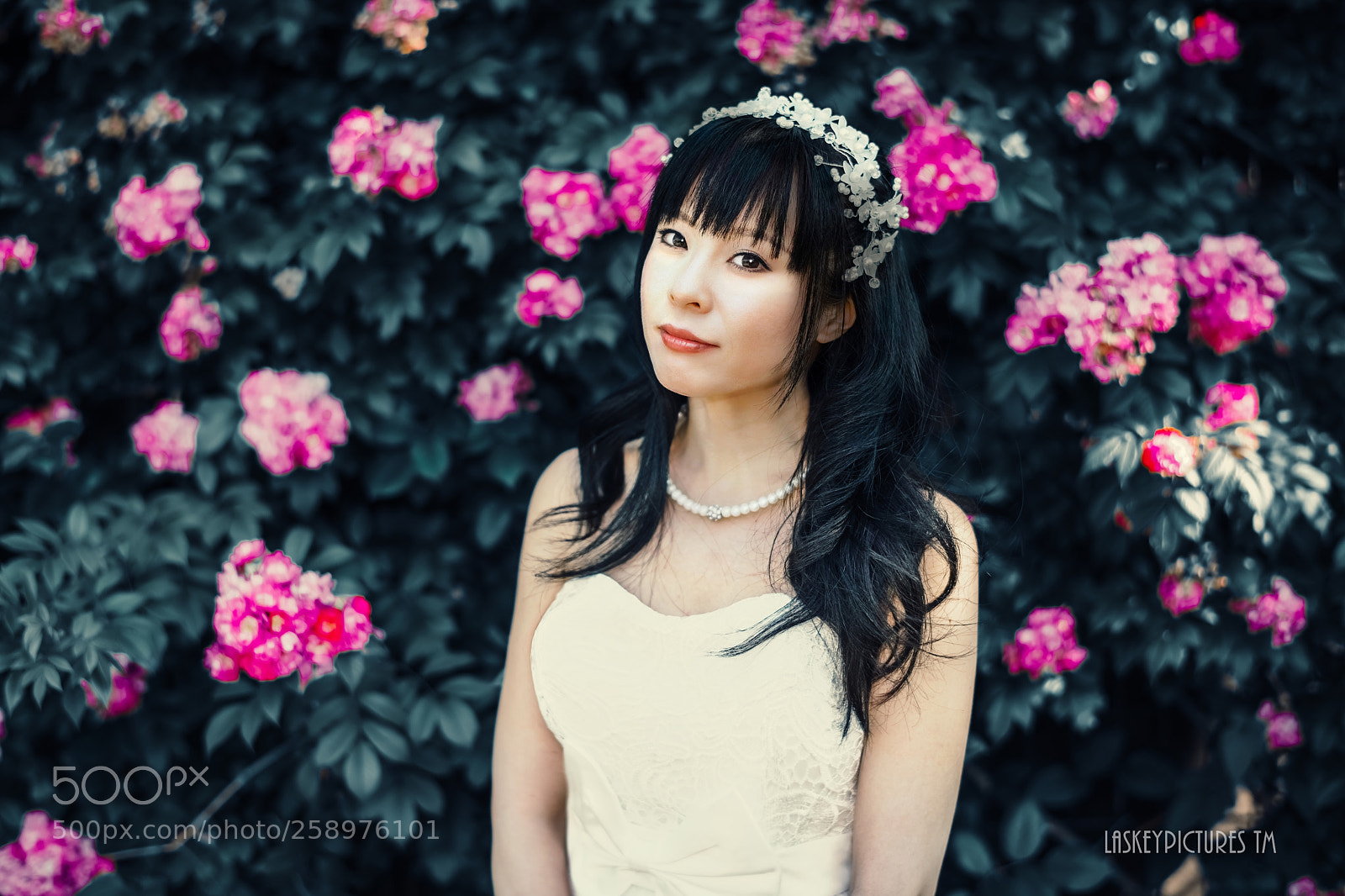 Nikon D850 sample photo. Satori photography