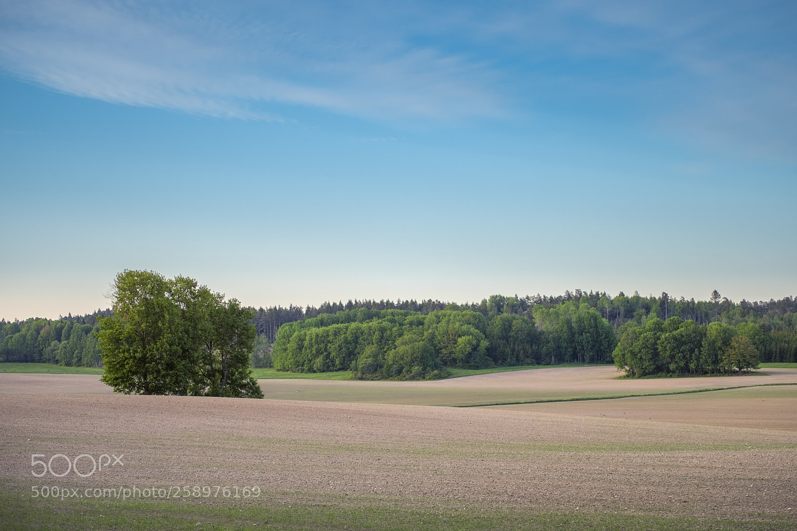 Fujifilm X-T2 sample photo. Pre-summer photography