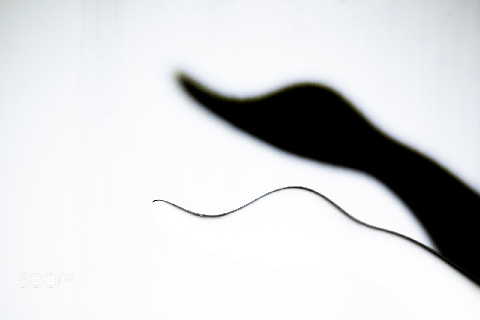 Fujifilm X-E3 sample photo. Shadow of a china photography