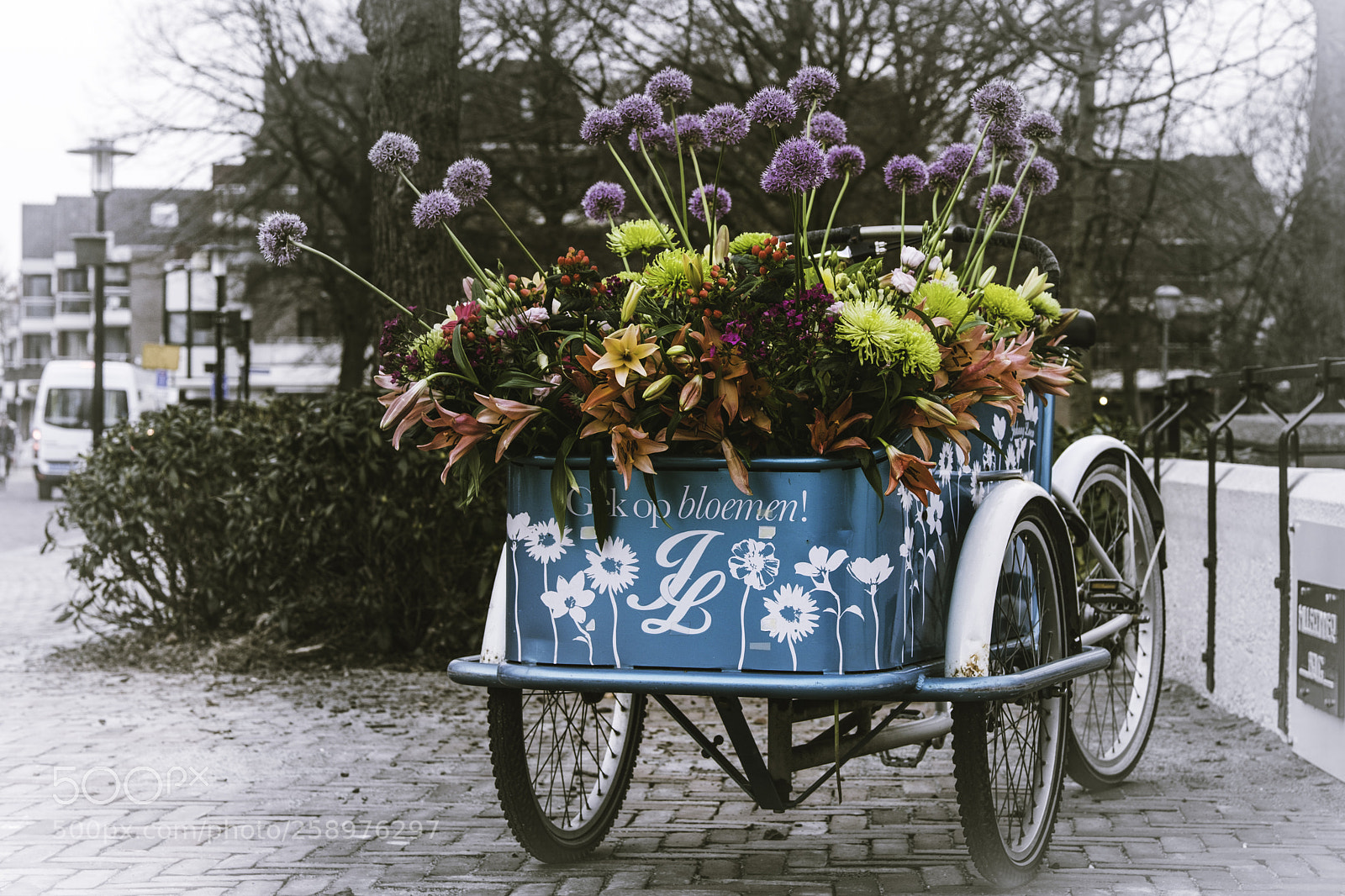 Fujifilm X-E3 sample photo. Crazy about flowers! photography