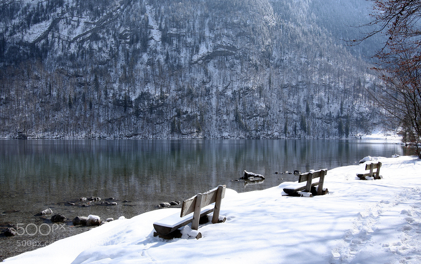 Canon EOS 450D (EOS Rebel XSi / EOS Kiss X2) sample photo. Waiting for summer #2 photography