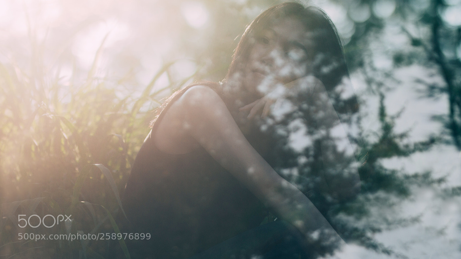 Canon EOS 70D sample photo. Musing in the forest photography