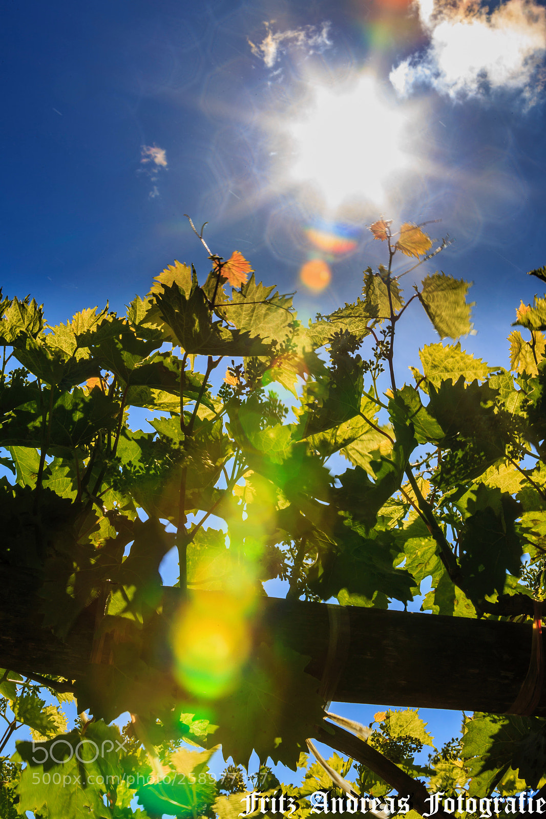 Canon EOS 6D sample photo. Pfingstmontag 1.1 photography