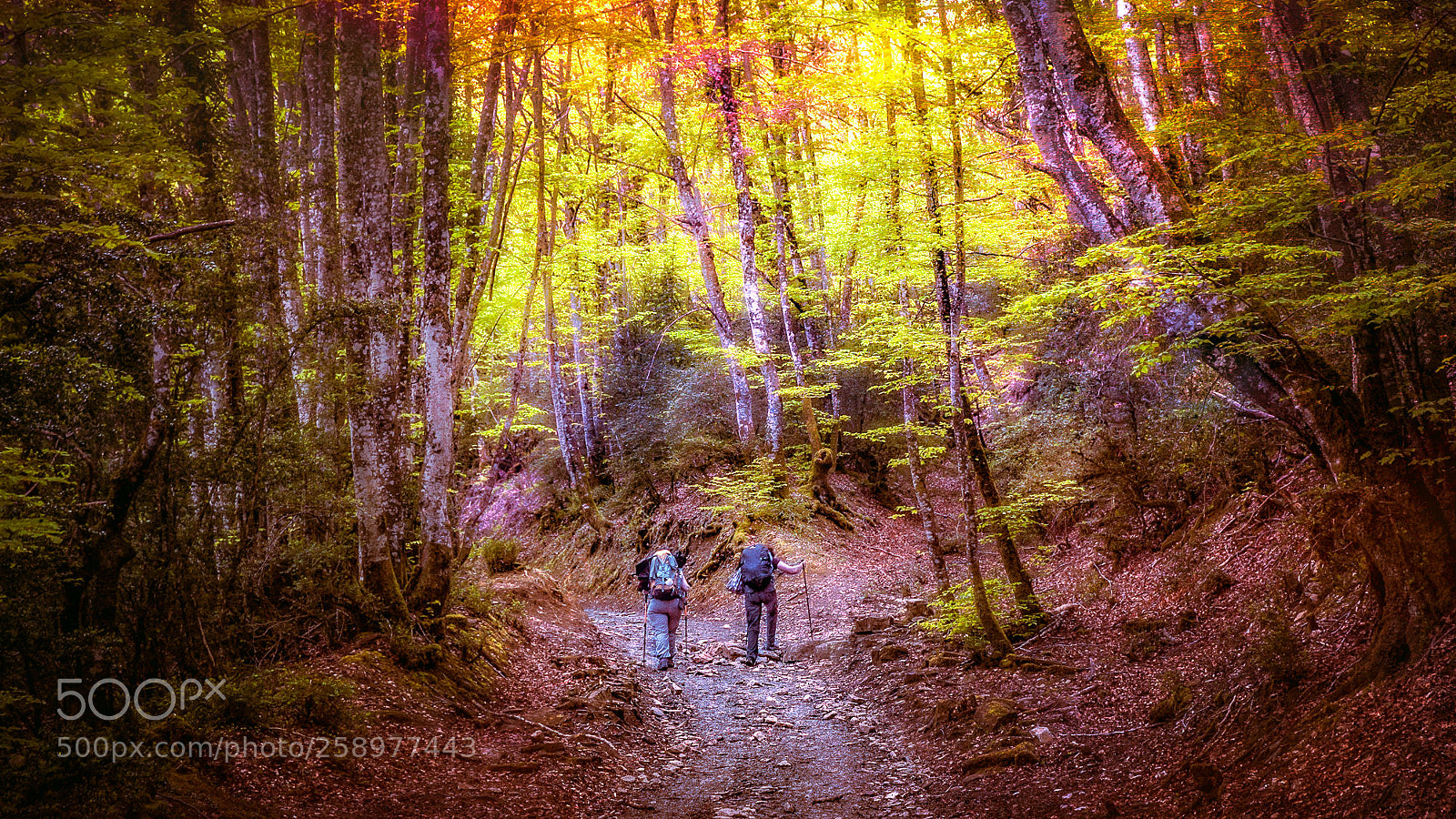 Nikon D70s sample photo. Camino de santiago - 34/50 photography