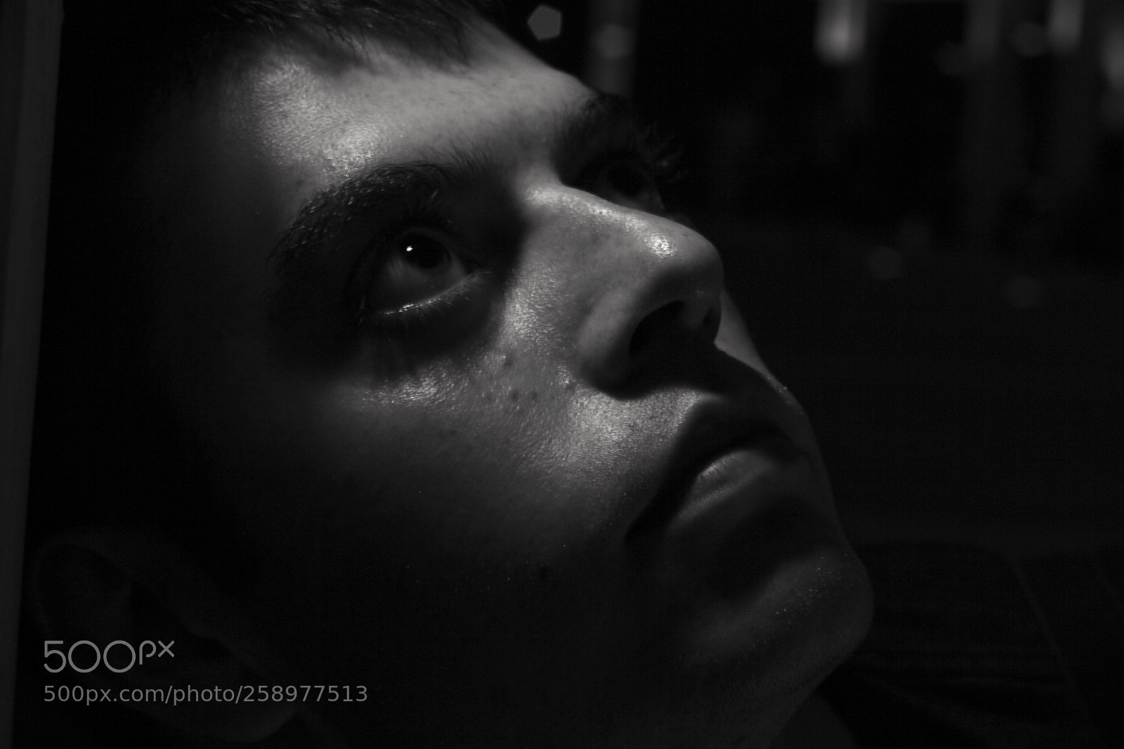Canon EOS 50D sample photo. The look photography