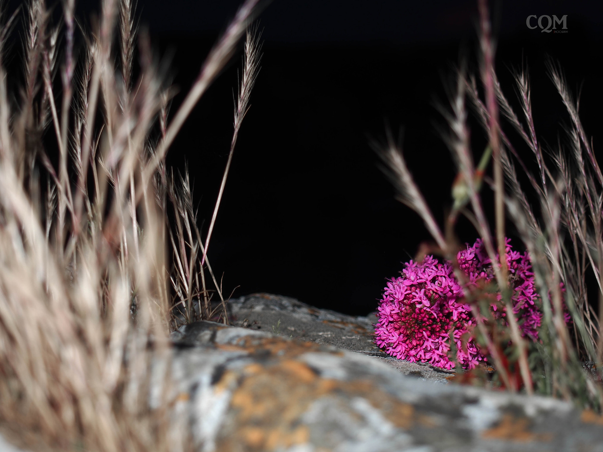 Olympus PEN E-P5 sample photo. A bit of color in the dark photography