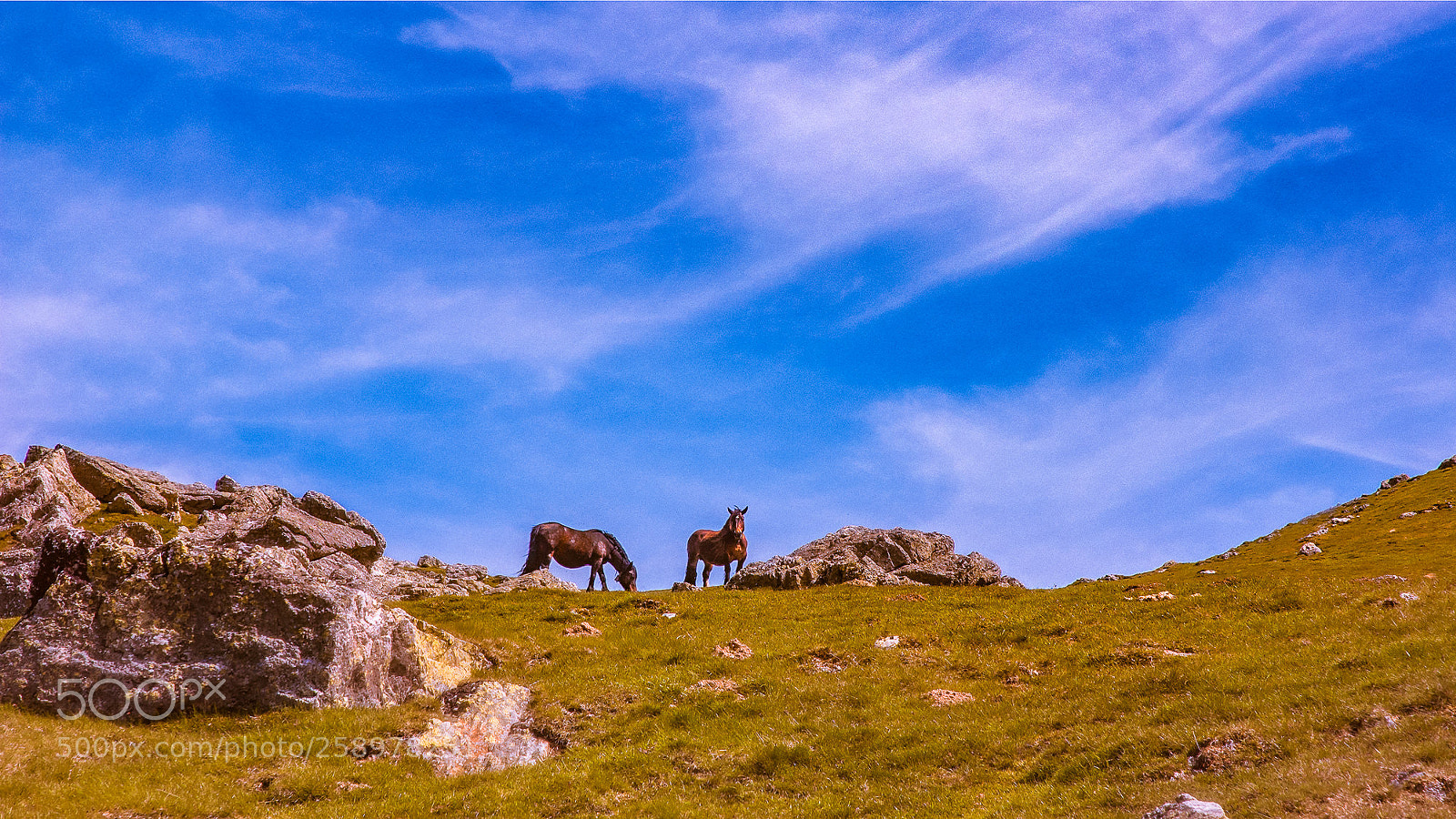 Nikon D70s sample photo. Camino de santiago - 37/50 photography