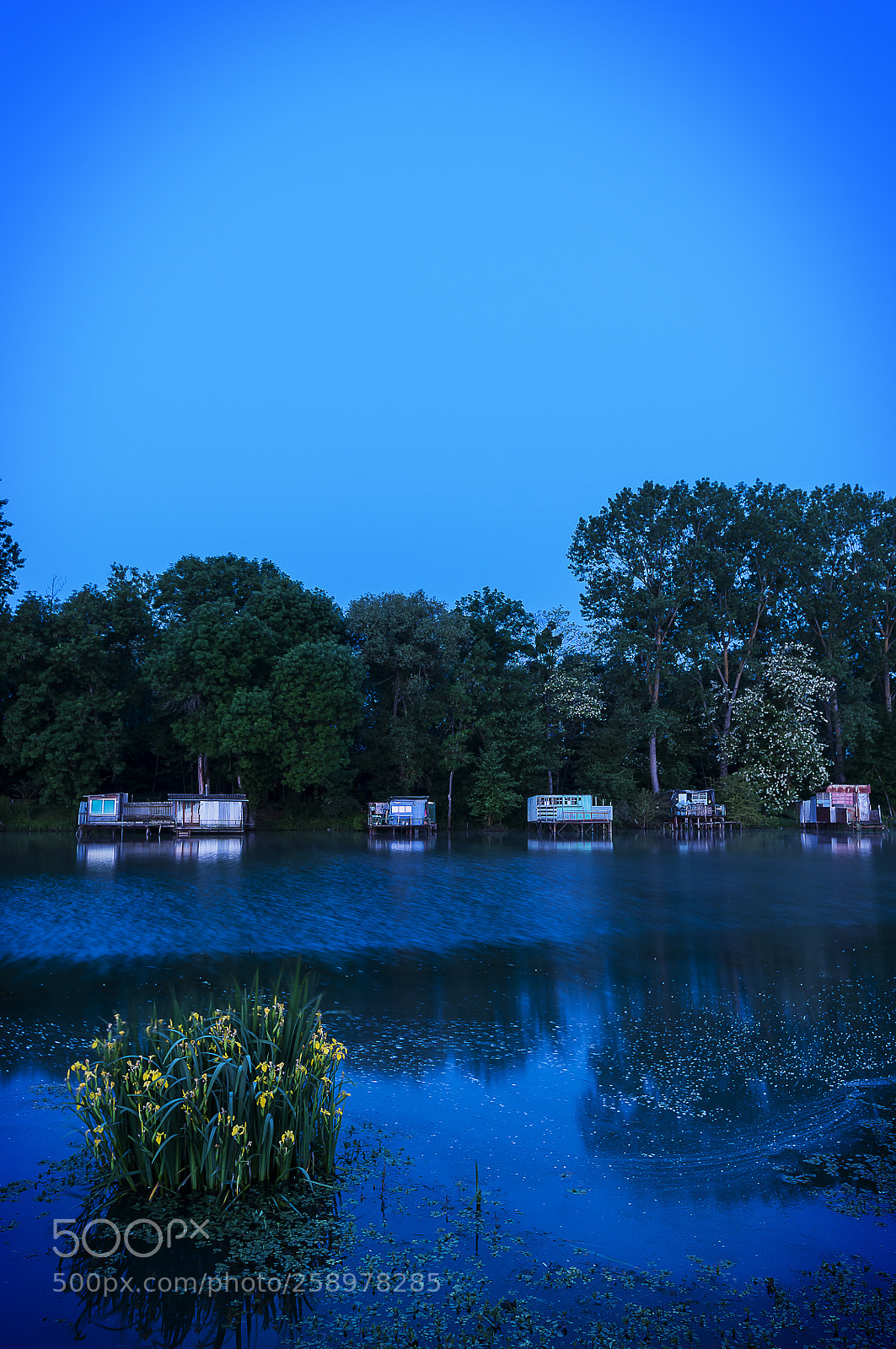 Nikon D300S sample photo. Blue hour on the photography