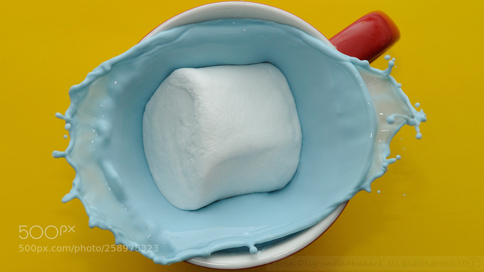 Nikon D90 sample photo. Primary splash  photography