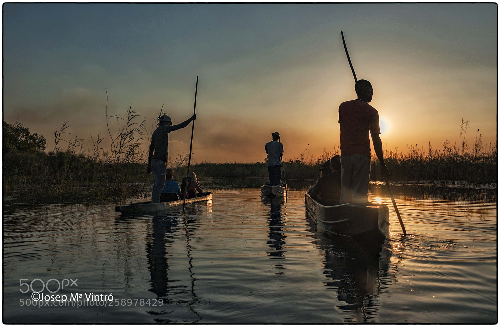 Nikon D700 sample photo. Okavango photography
