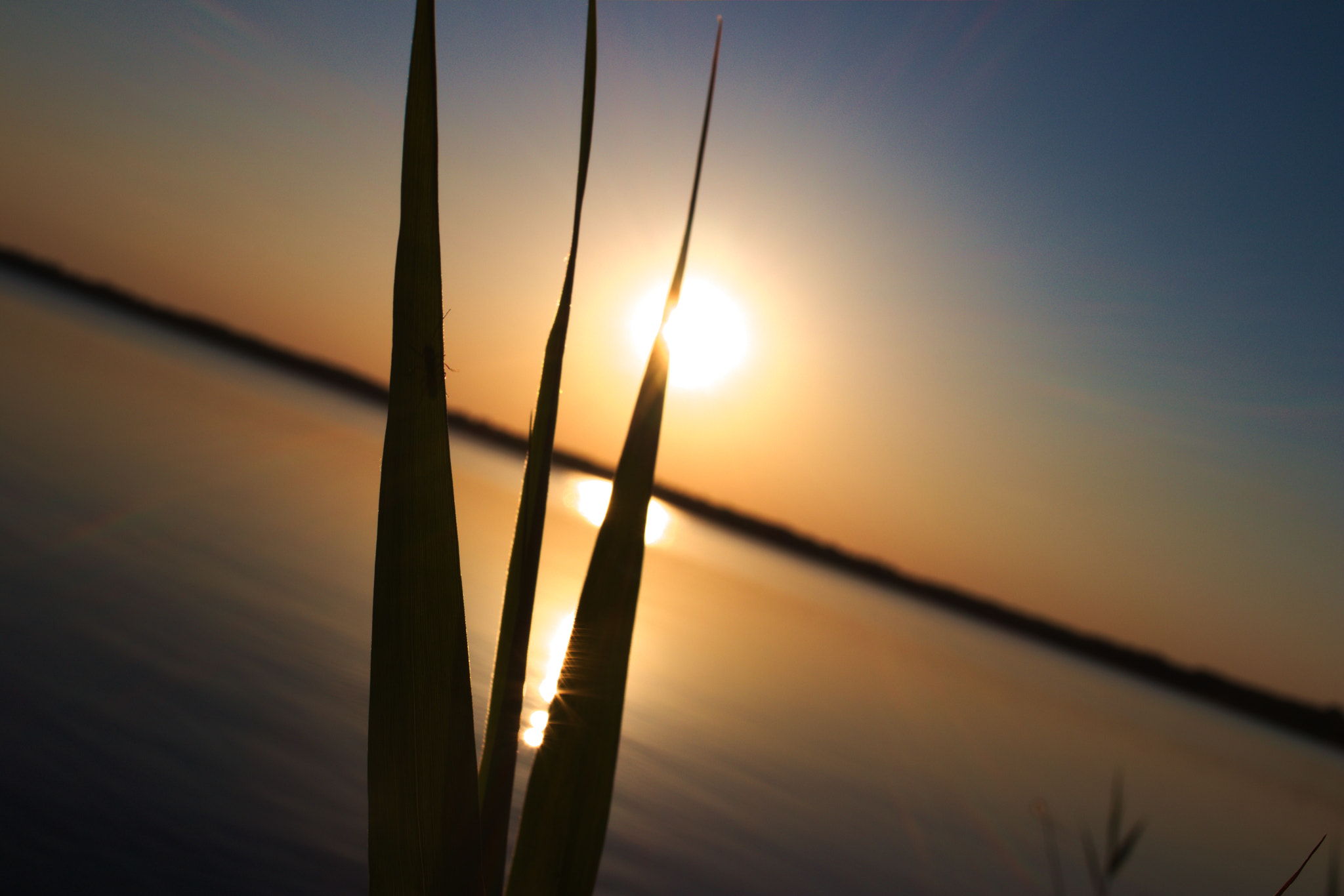 Canon EF-S 24mm F2.8 STM sample photo