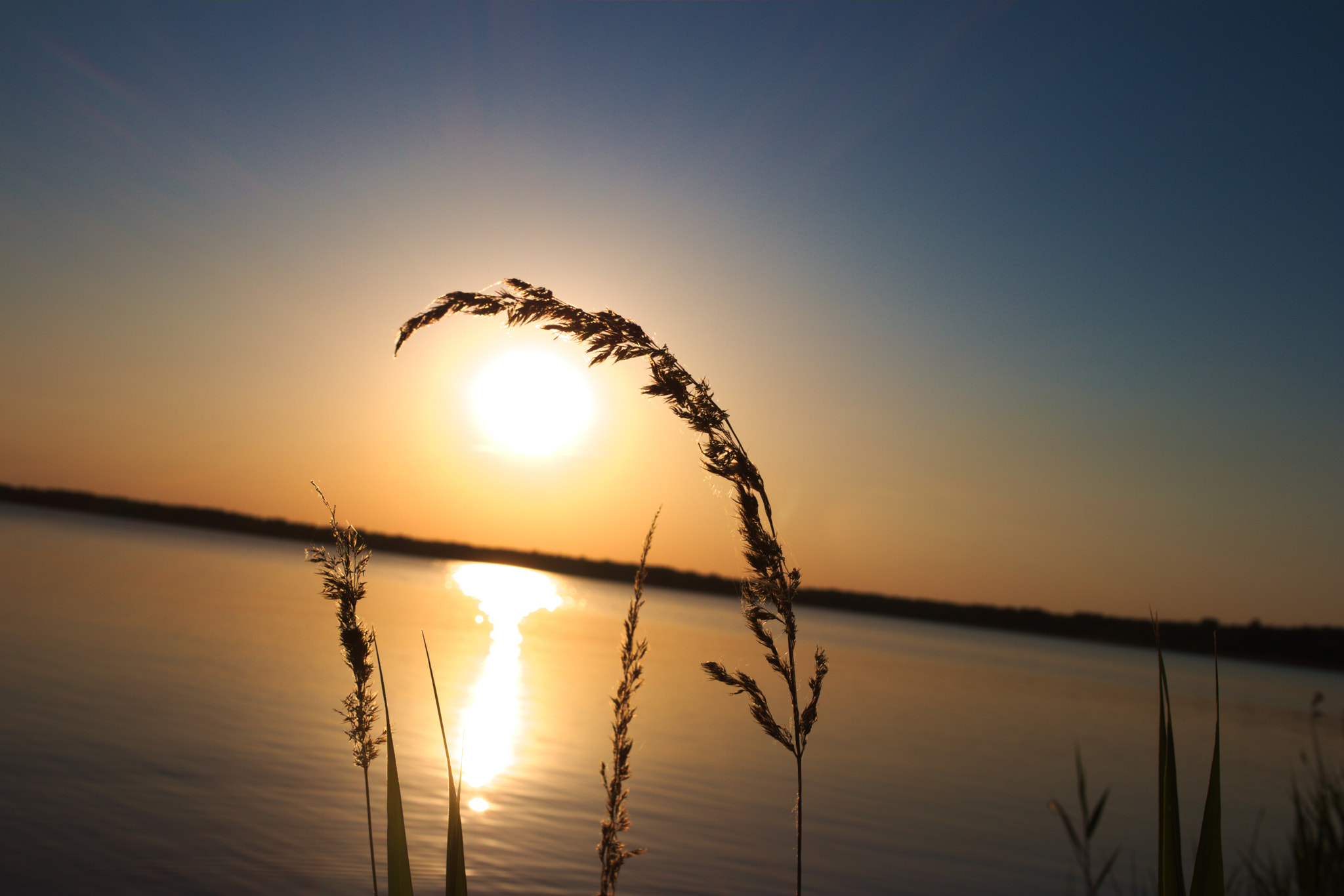 Canon EF-S 24mm F2.8 STM sample photo