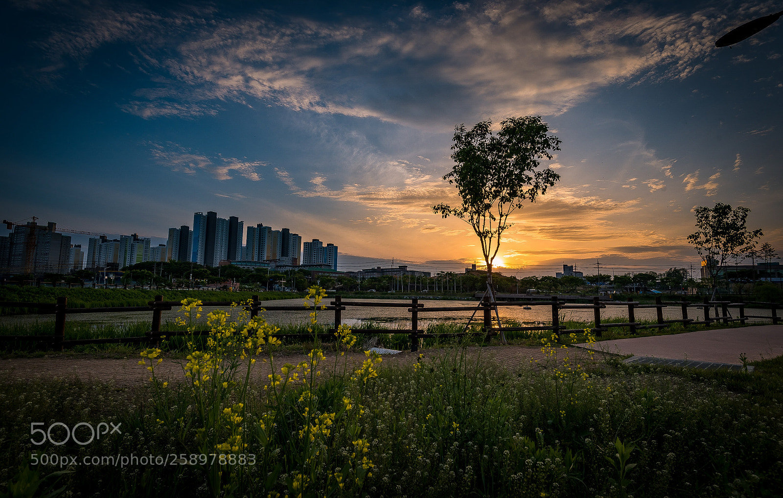 Nikon D750 sample photo. Sunset photography