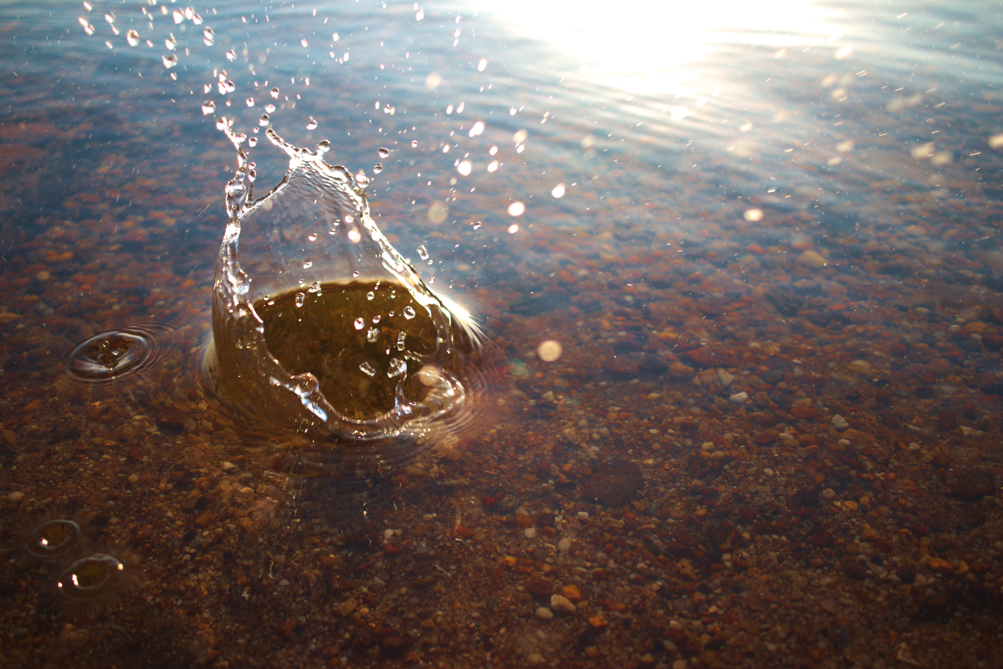 Canon EF-S 24mm F2.8 STM sample photo