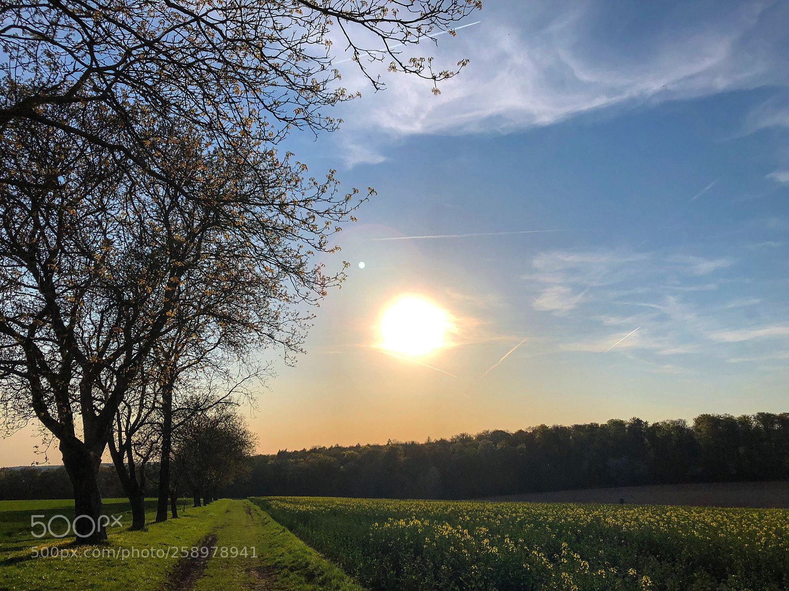 Apple iPhone 8 sample photo. Spring photography