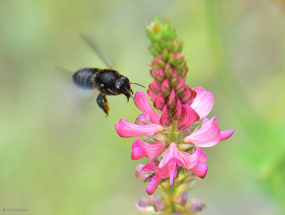Nikon AF-S Micro-Nikkor 105mm F2.8G IF-ED VR sample photo. Repérage photography