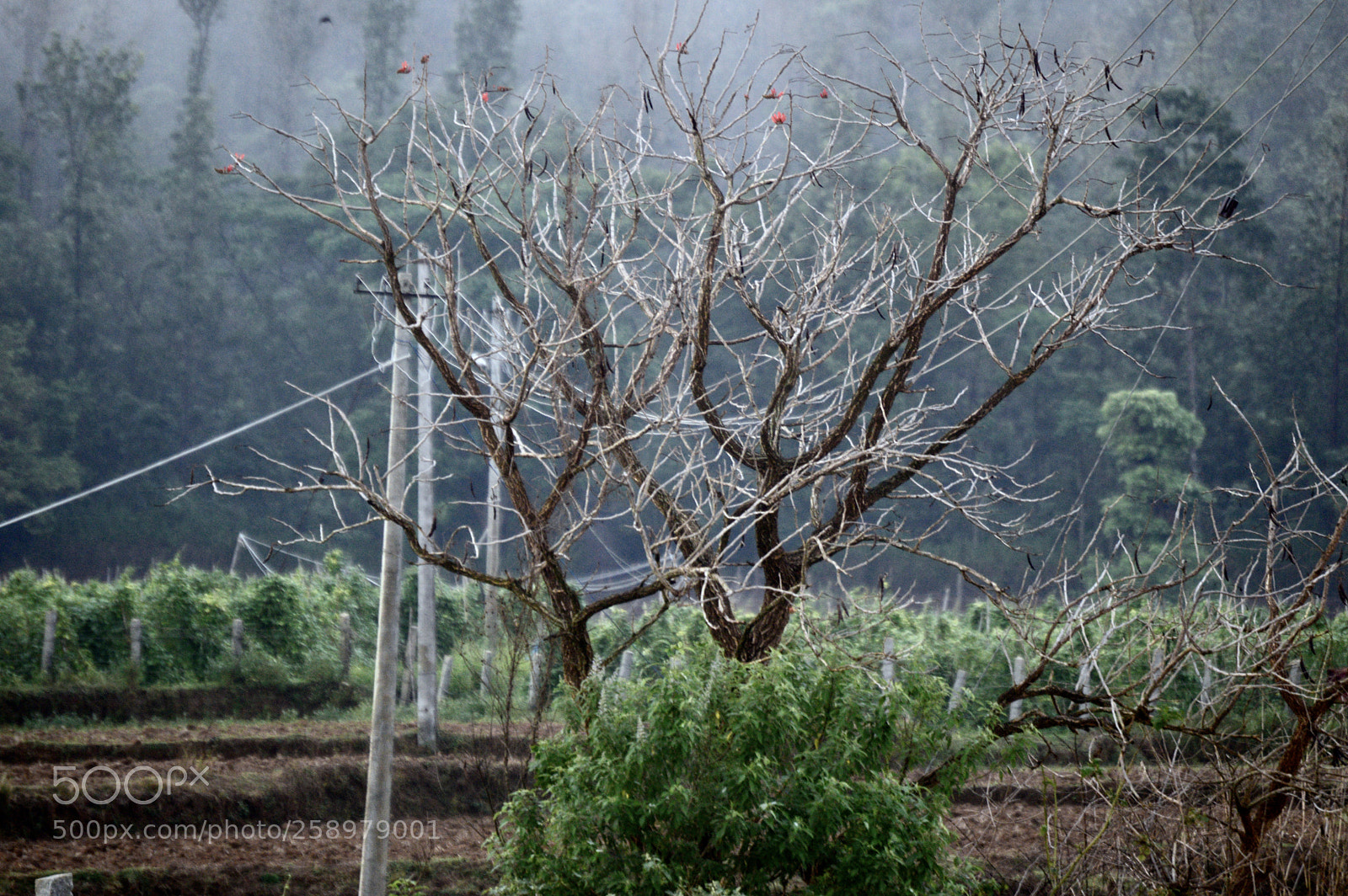 Nikon D3200 sample photo. Fullsizeoutput photography