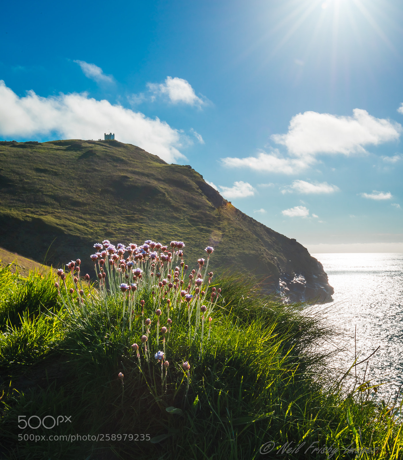 Nikon D810 sample photo. Boscastle, willapark. photography