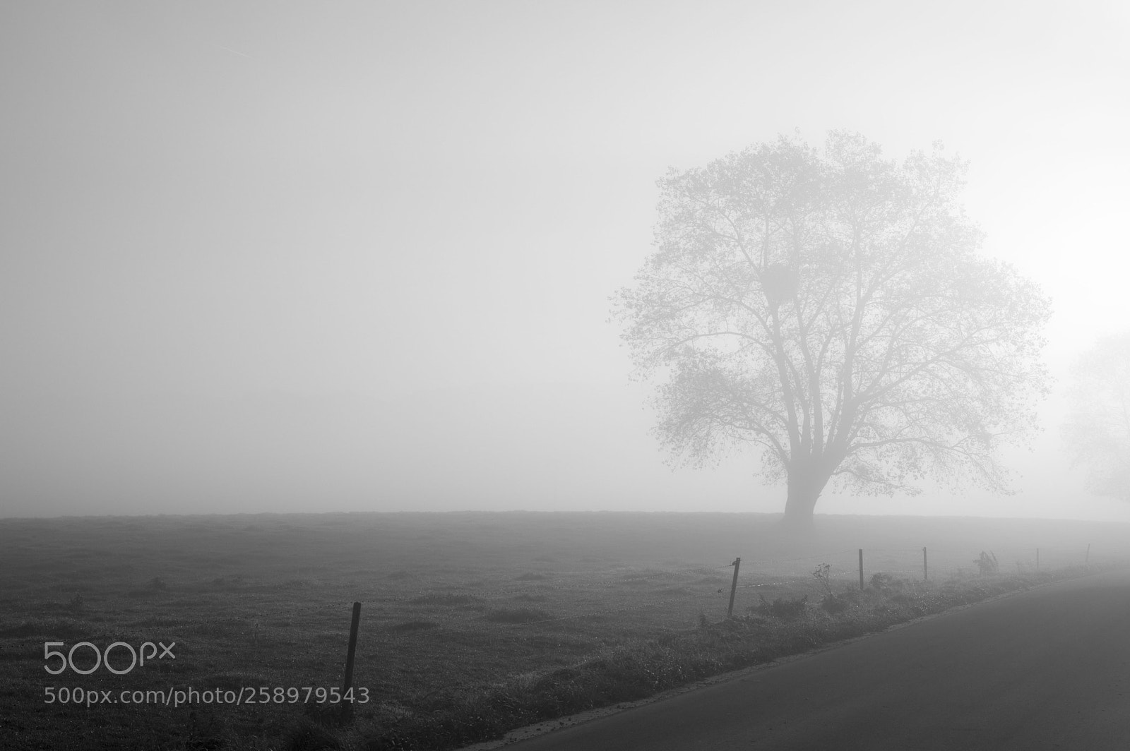 Pentax K-3 sample photo. Matin photography