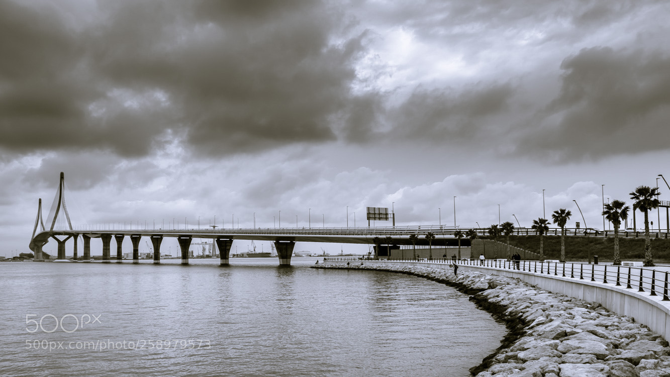 Nikon D5300 sample photo. Puente de la constituci photography