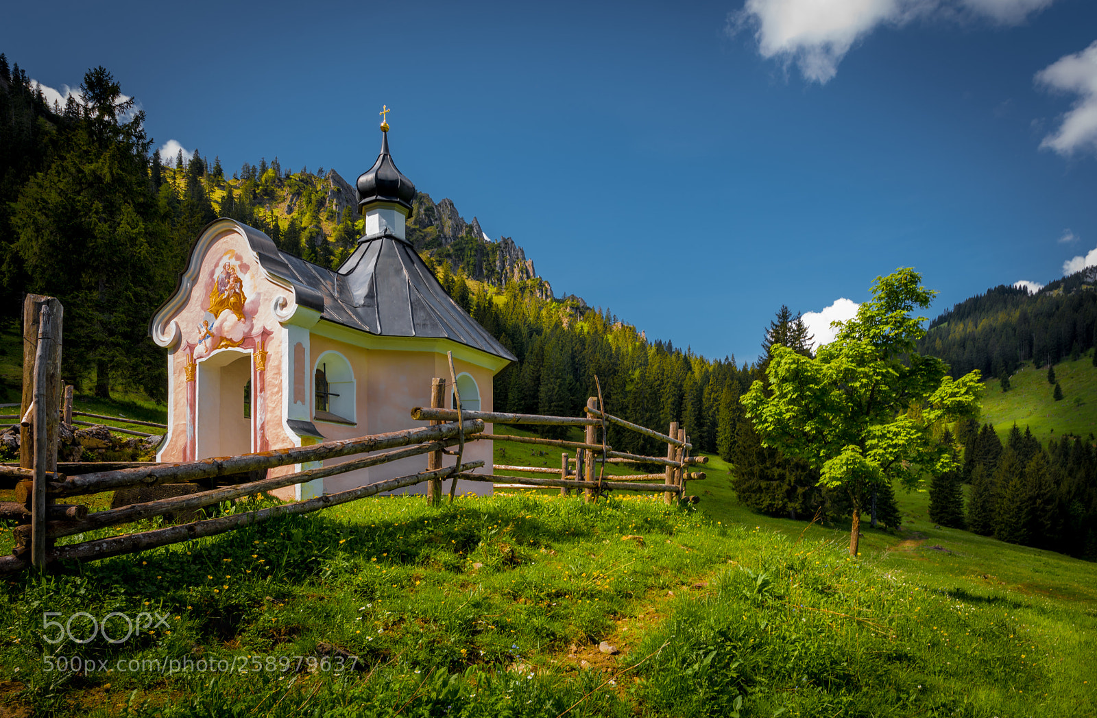 Nikon D750 sample photo. Predicts place photography