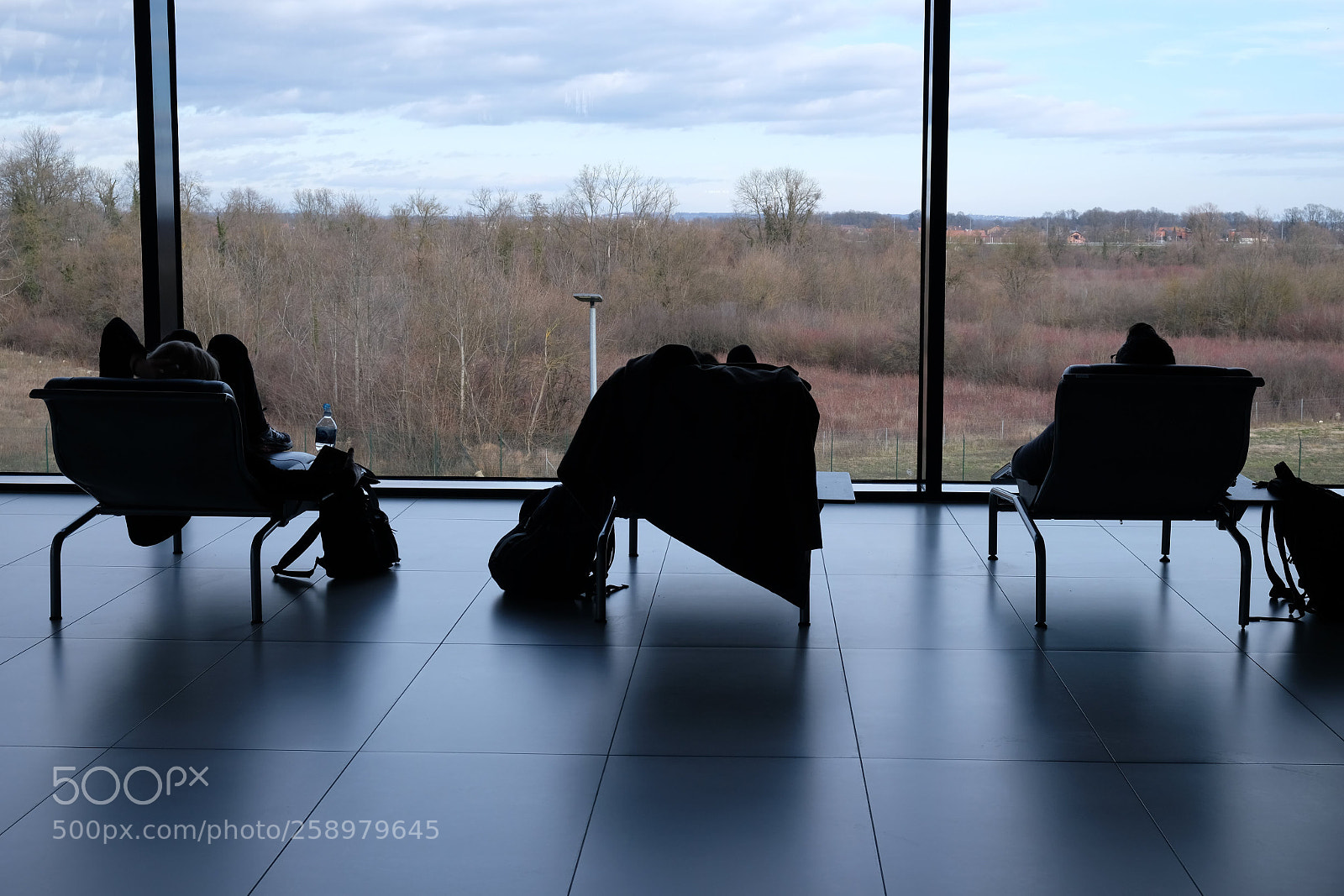 Fujifilm X-T2 sample photo. Rest before fly photography
