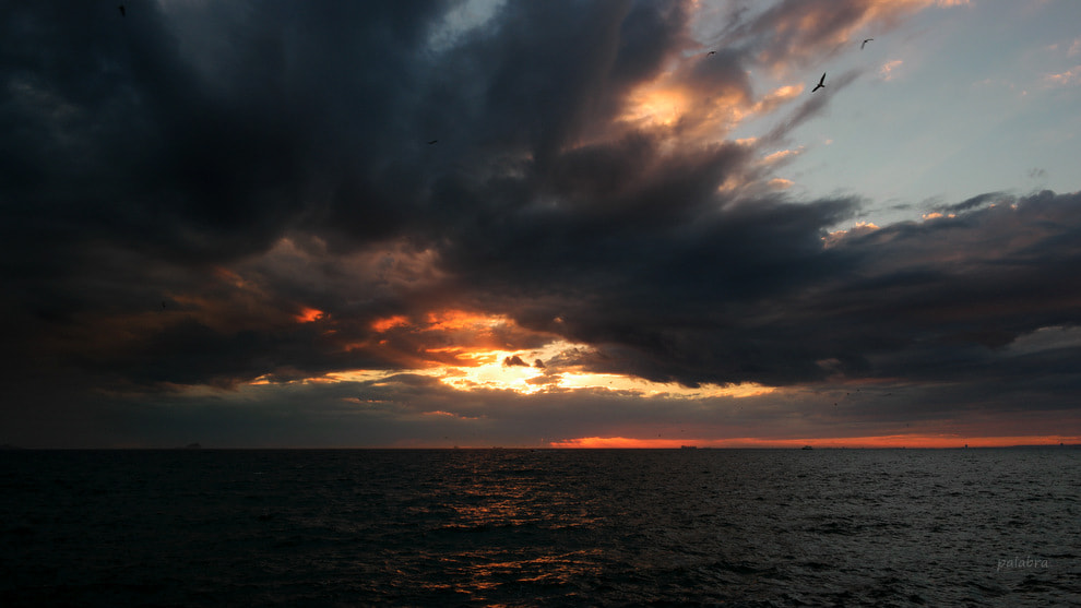 Samsung NX1 sample photo. ... photography