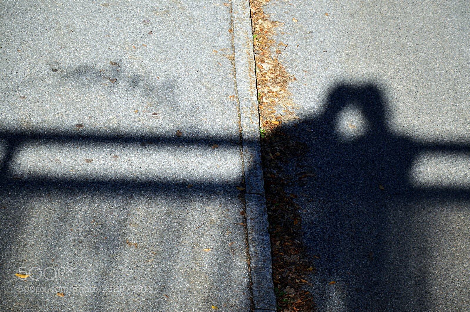Nikon D3200 sample photo. Forever you photography