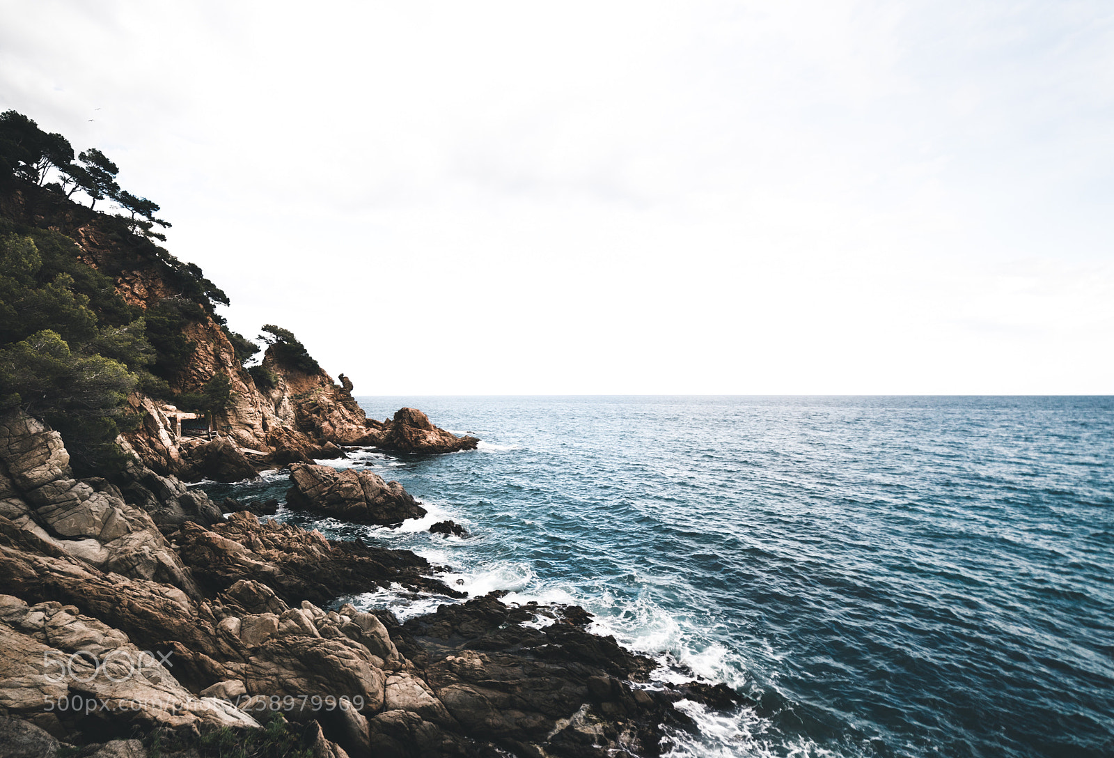 Nikon D750 sample photo. Sea of doubts photography