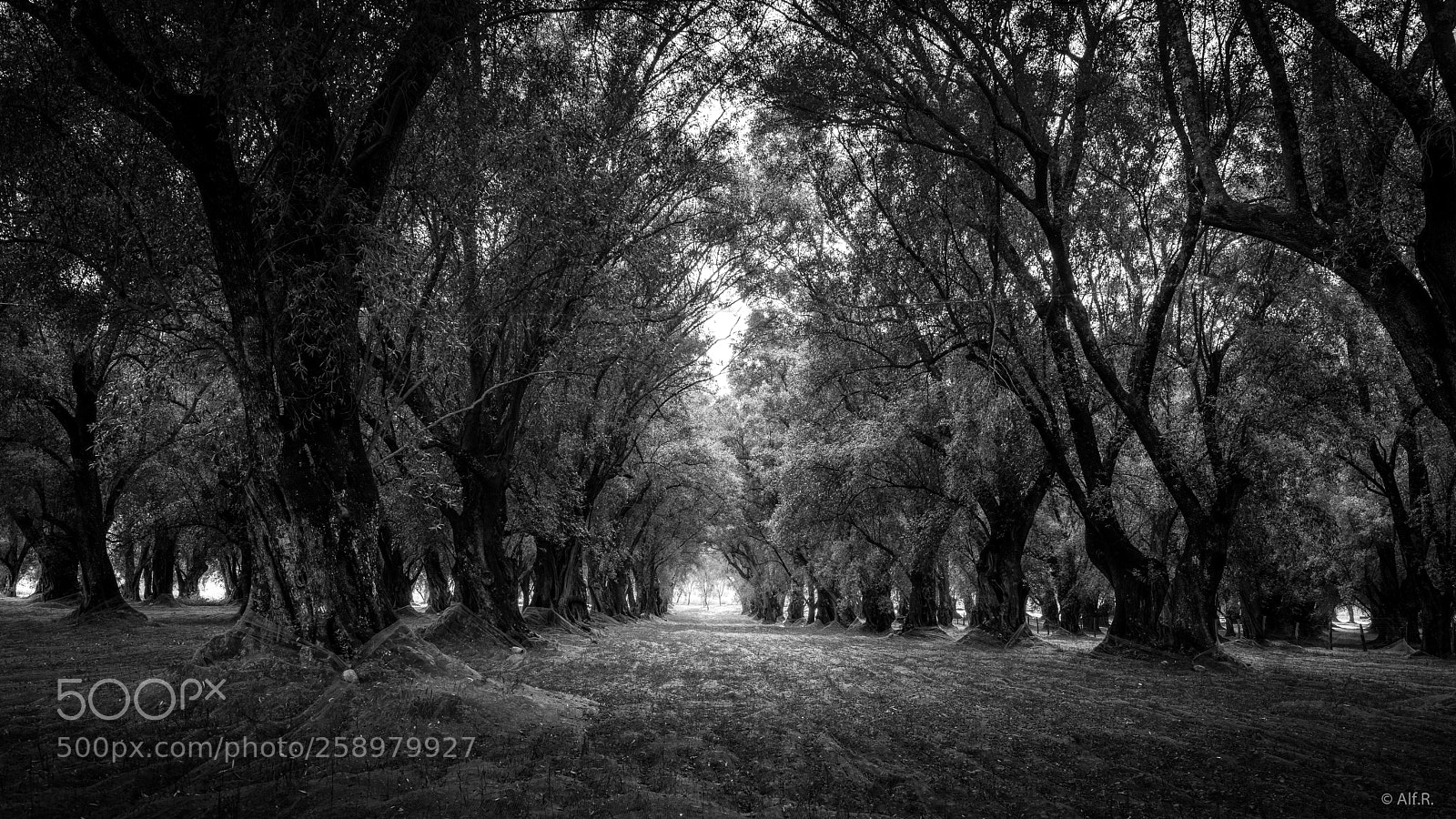 Sony a7R II sample photo. Calabria, impression 33 photography