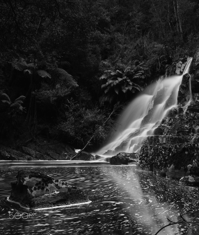 Canon EOS 60D + Canon EF-S 18-55mm F3.5-5.6 IS STM sample photo. Gibson creek falls in black and white photography