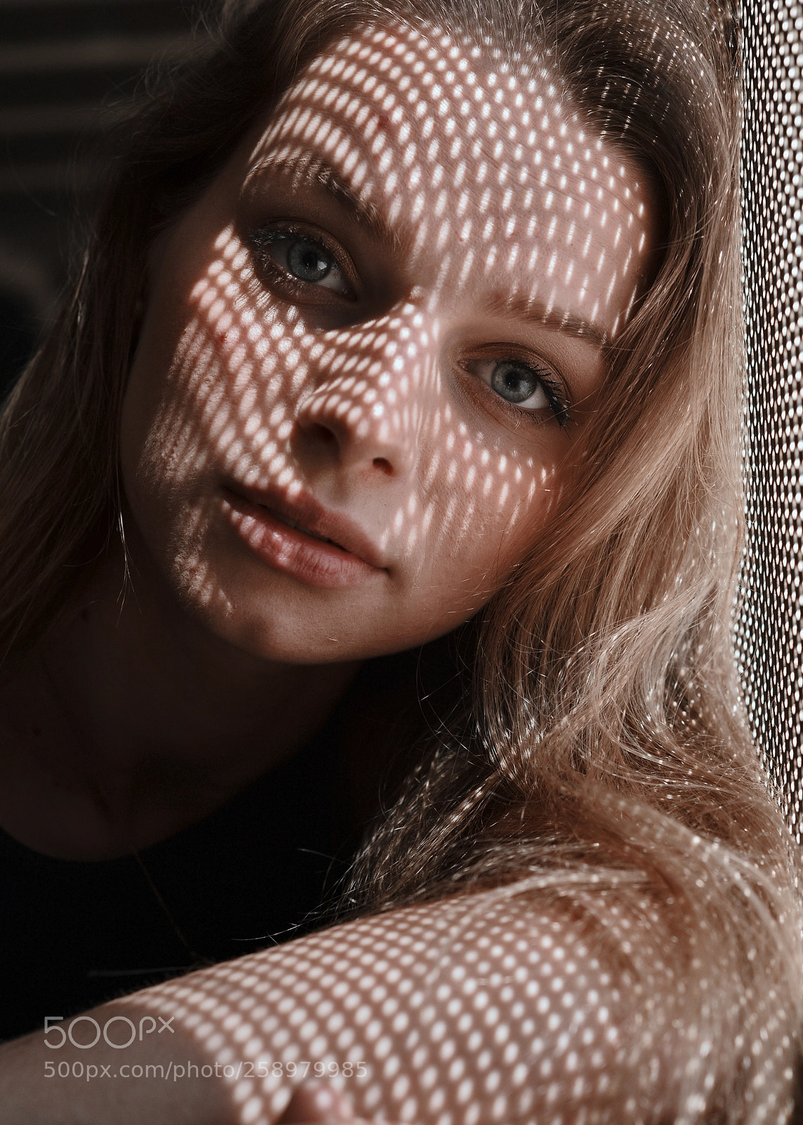 Nikon D800 sample photo. Msn photography