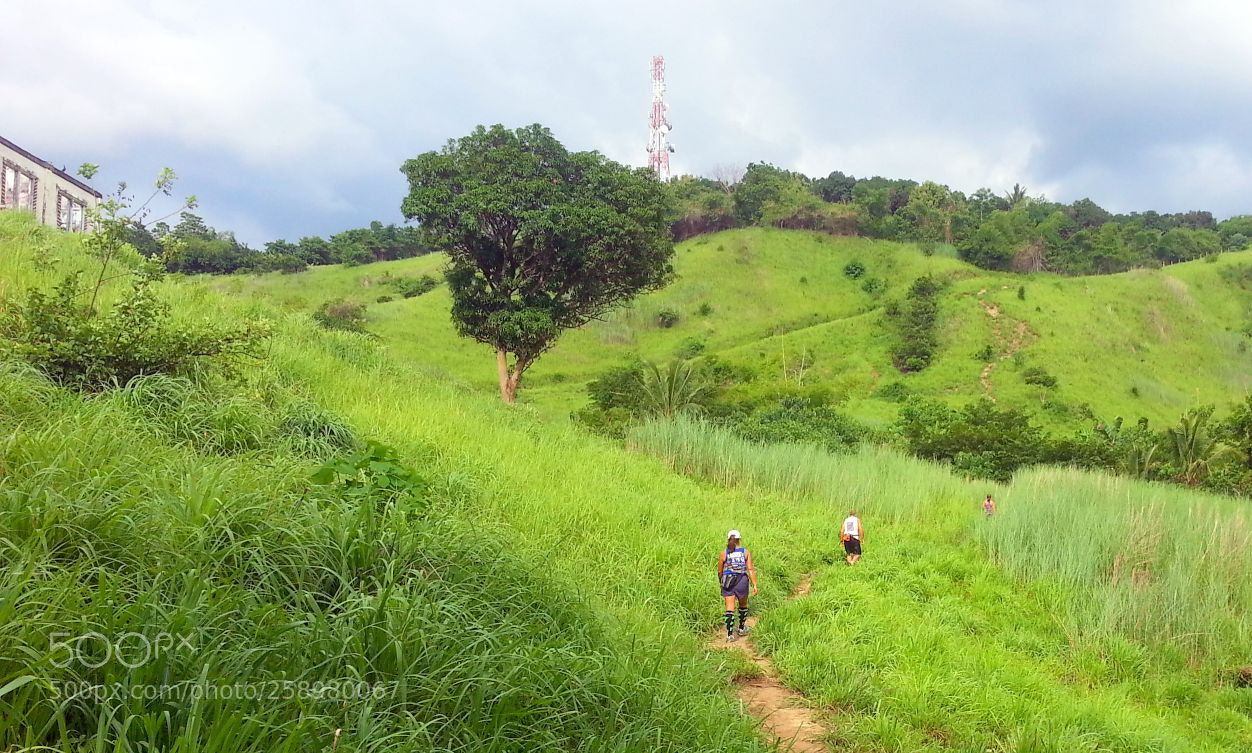 Samsung Galaxy S3 sample photo. Hiking in the green photography