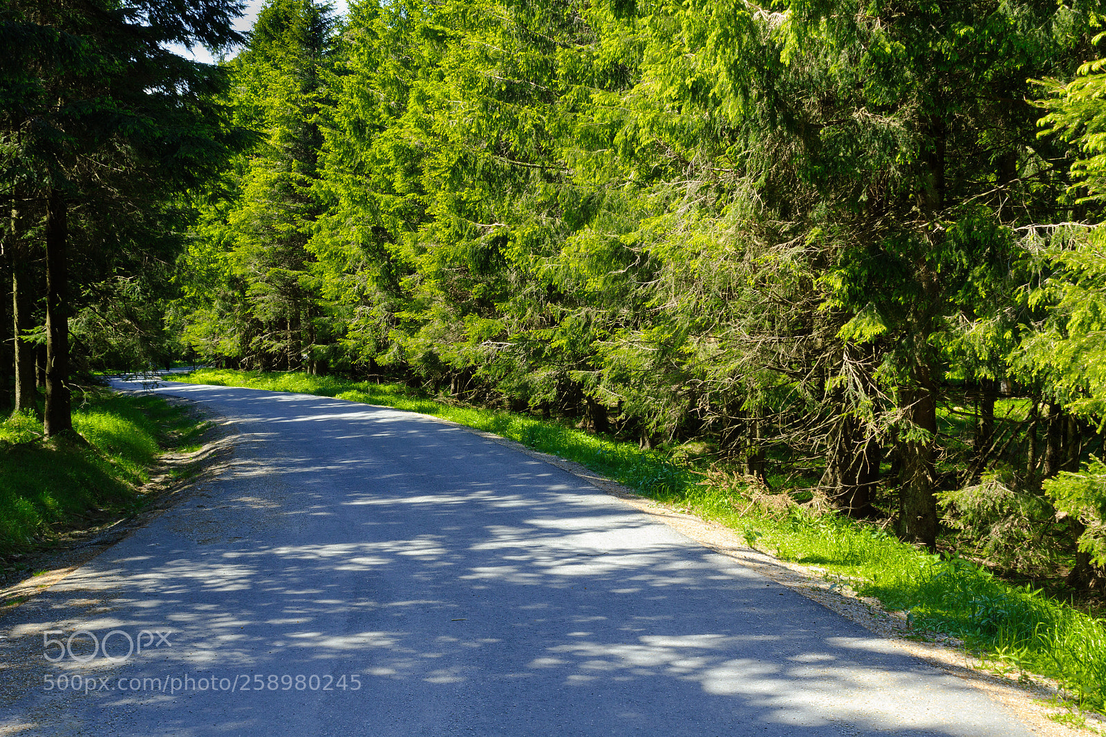 Canon EOS 600D (Rebel EOS T3i / EOS Kiss X5) sample photo. Wurmberg photography