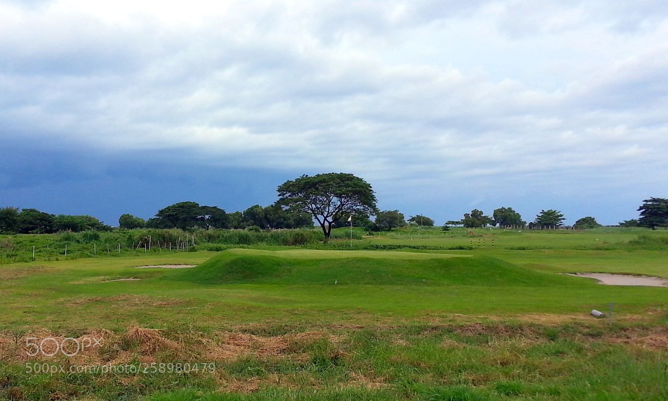 Samsung Galaxy S3 sample photo. 9th green photography