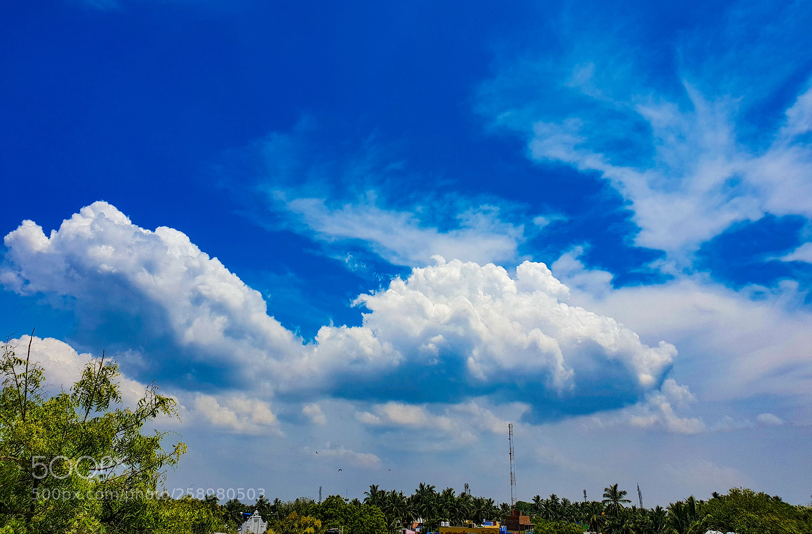 Samsung Galaxy S9+ sample photo. Blue sky photography