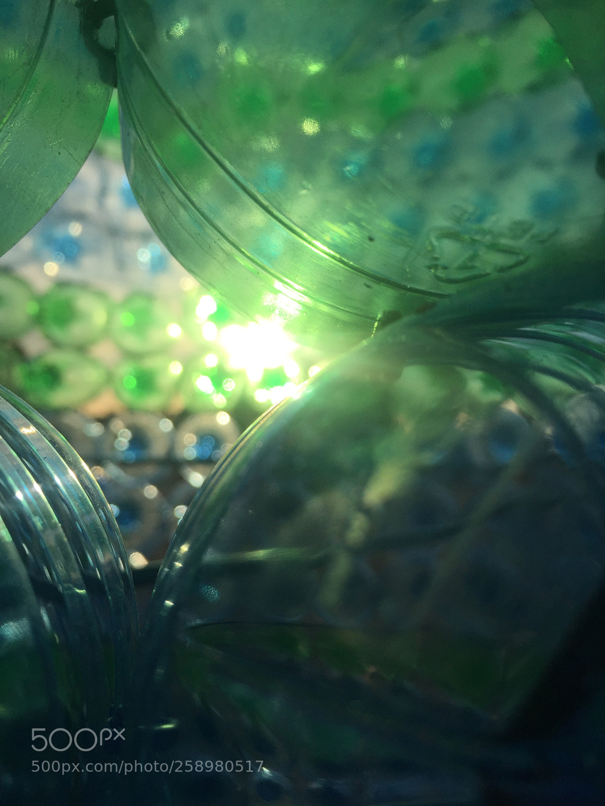 Apple iPhone 6 sample photo. Shining through photography