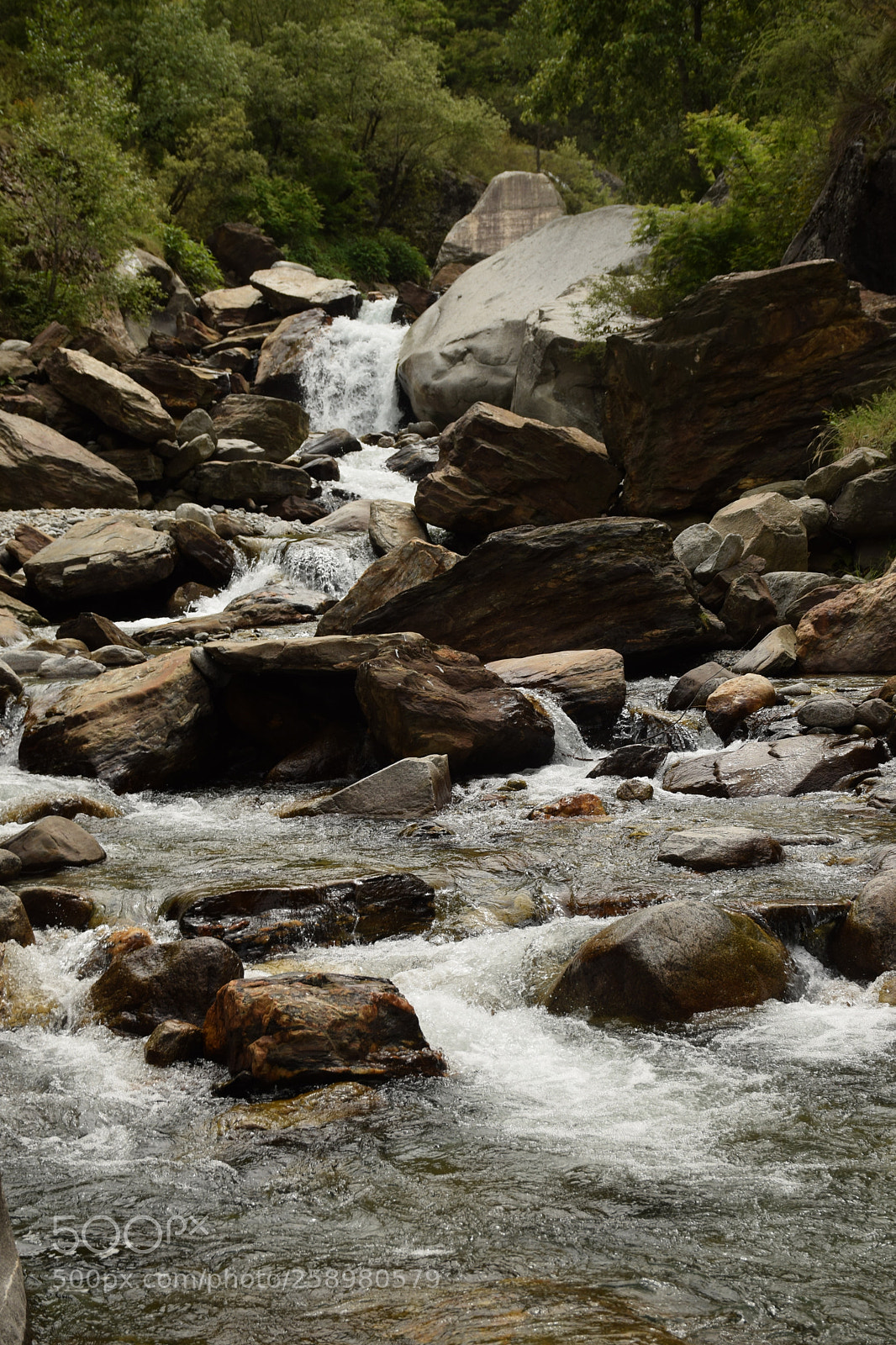 Nikon D5300 sample photo. Random photography