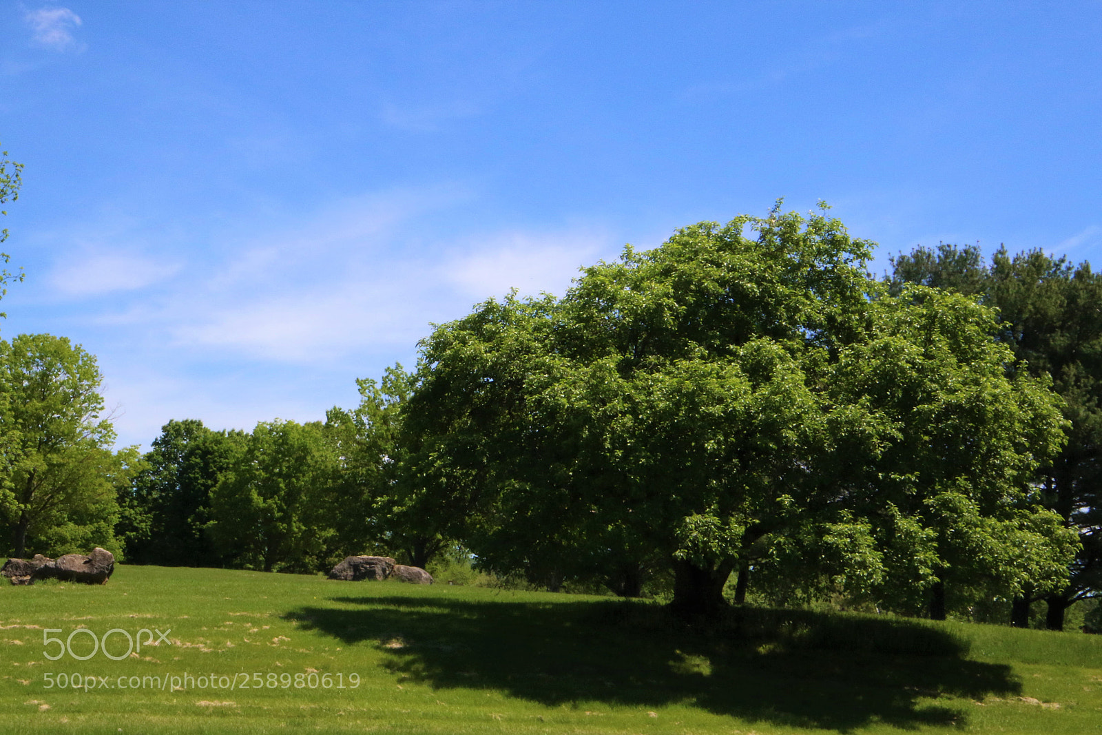 Canon EOS 7D Mark II sample photo. Clear days photography